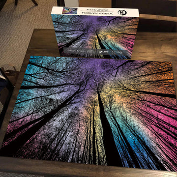 Puzzles de puzzle coloré de la forêt magique 1000 pièces